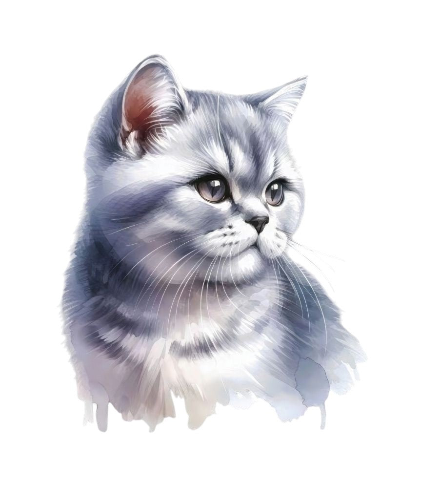 U39-grijze-poes-applicatie