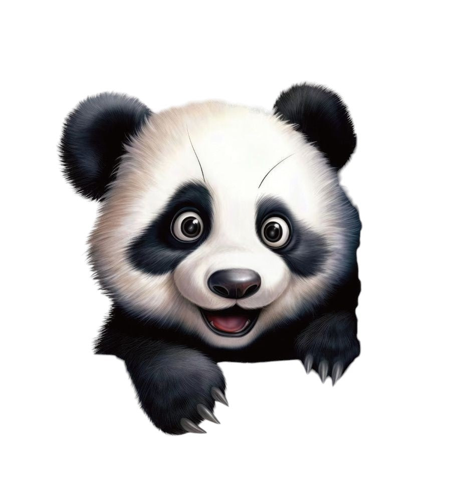 V1-zwart-witte-panda-applicatie