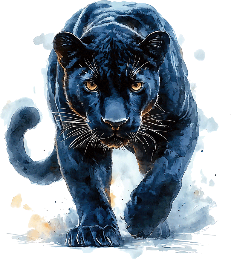 AV149-zwarte-panter-applicatie