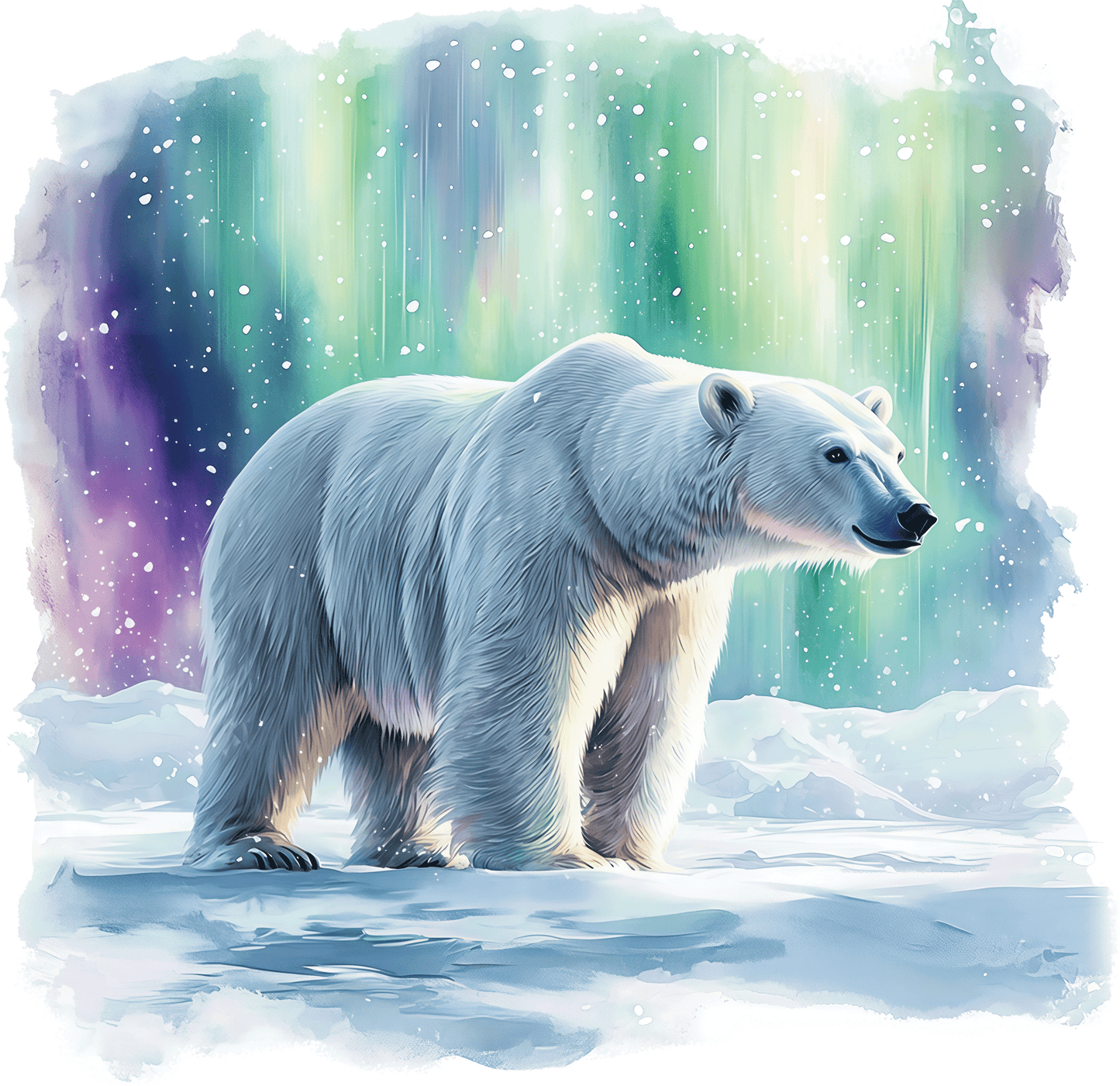 AV186-ijsbeer-met-poollicht-applicatie