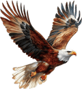 V38-bruine-vliegende-roofvogel-applicatie