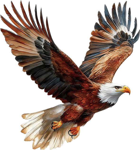 V38-bruine-vliegende-roofvogel-applicatie