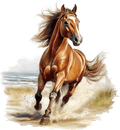 V46-rennend-paard-applicatie