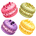 Vier kleurrijke macarons in roze, groen, paars en geel – vrijstaand ontwerp