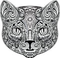 AV2-zwart-witte-kat-applicatie