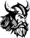 AV35-viking-applicatie