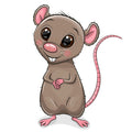 B8-grijze-muis-applicatie