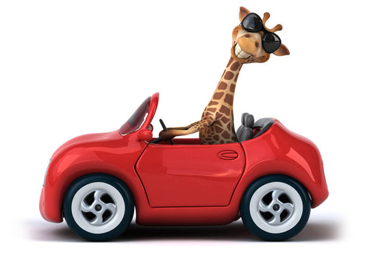 N11-giraffe-in-rode-auto-applicatie