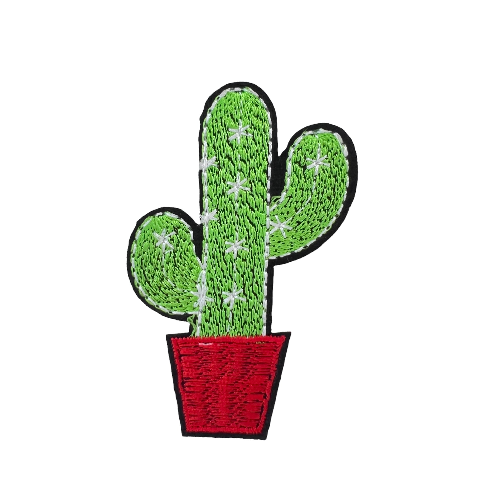 P0050-groene-cactus-in-rode-pot-patch