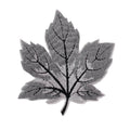 P0347-grijs-esdoorn-blad-patch