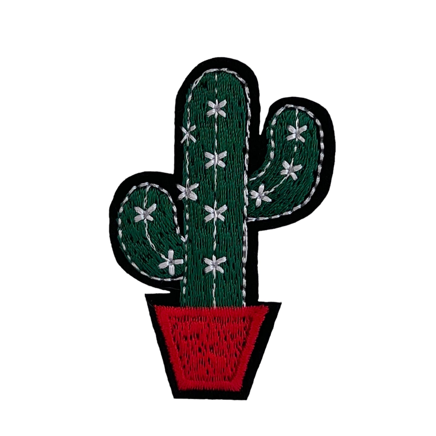 P0687-groene-cactus-in-pot-patch