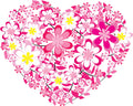 R10-hart-van-roze-bloemen-applicatie