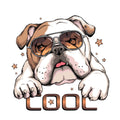 S16-bulldog-met-de-tekst-cool-applicatie